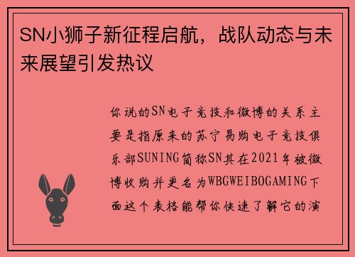 SN小狮子新征程启航，战队动态与未来展望引发热议