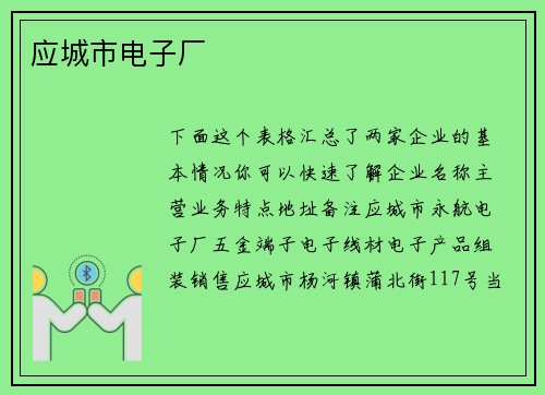 应城市电子厂
